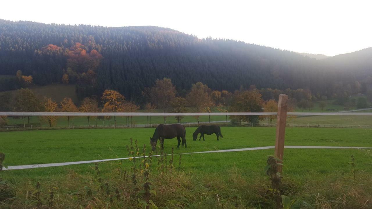 Pension Bergfrieden ชมาลเลนแบร์ก ภายนอก รูปภาพ