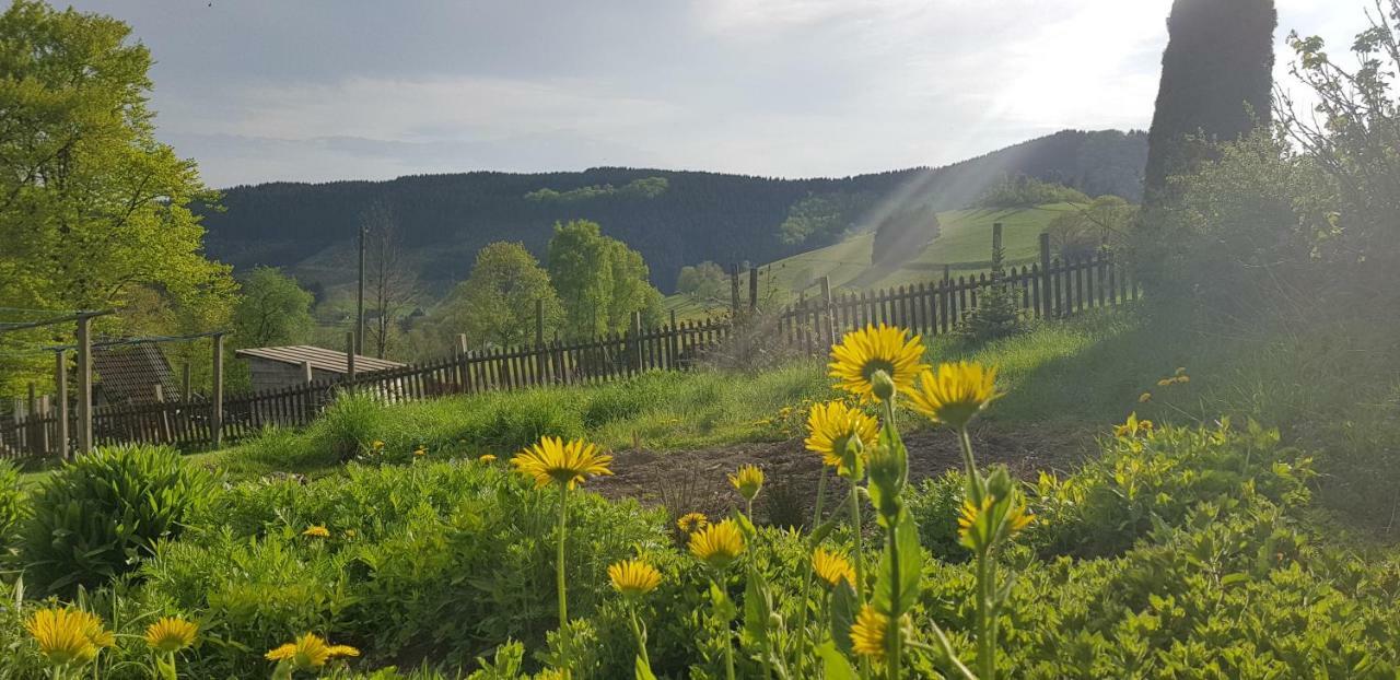 Pension Bergfrieden ชมาลเลนแบร์ก ภายนอก รูปภาพ