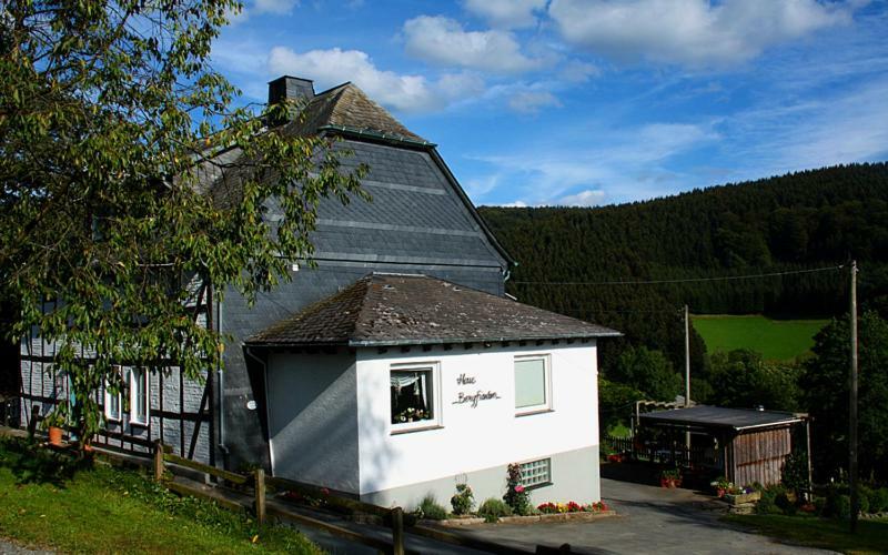 Pension Bergfrieden ชมาลเลนแบร์ก ภายนอก รูปภาพ