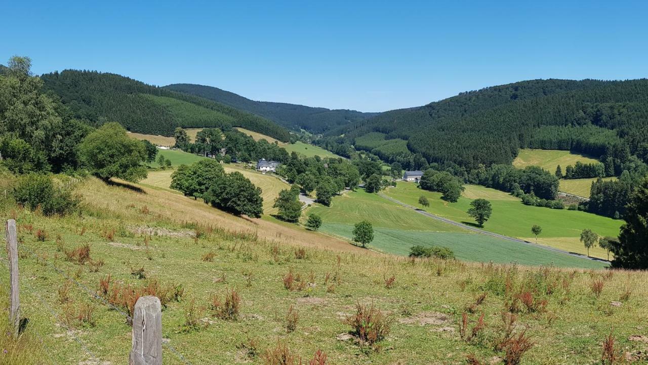Pension Bergfrieden ชมาลเลนแบร์ก ภายนอก รูปภาพ