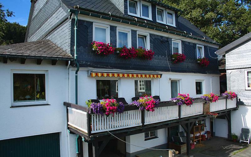 Pension Bergfrieden ชมาลเลนแบร์ก ภายนอก รูปภาพ