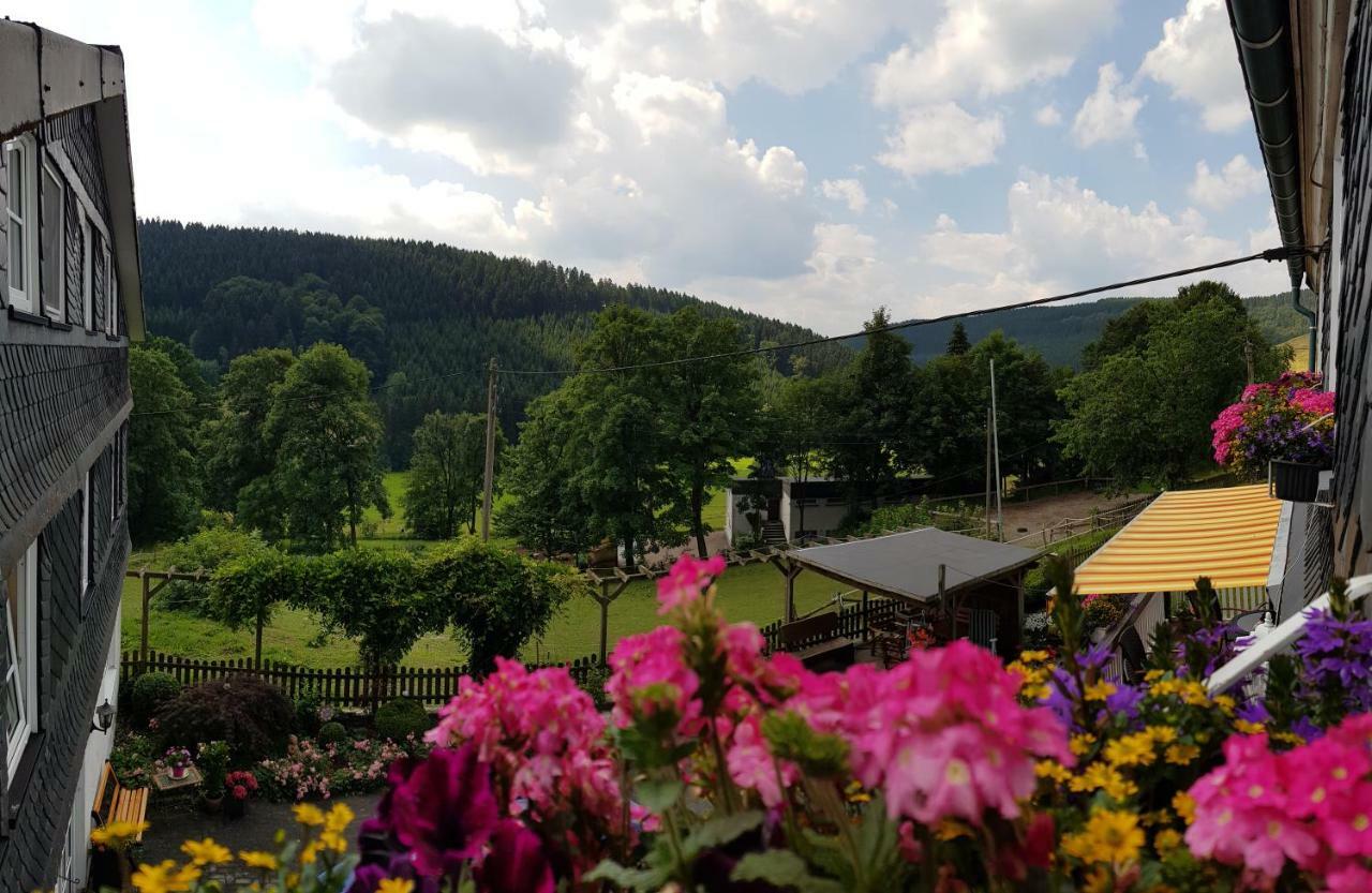 Pension Bergfrieden ชมาลเลนแบร์ก ภายนอก รูปภาพ